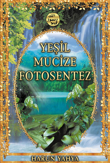 Yeşil Mucize Fotosentez